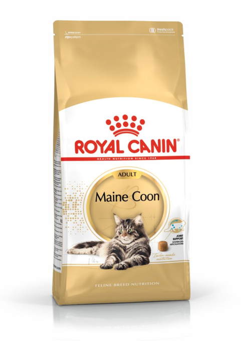 Royal Canin Maine Coon Adult Dry Cat Food